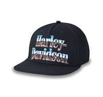 Loaded with Horsepower Fitted Cap - Harley Davidson