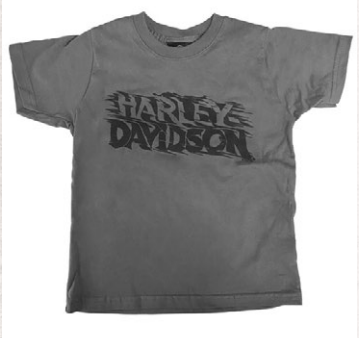 Youth & Toddler Hang On Short Sleeve Tee | Harley-Davidson